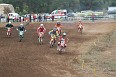 IMG_1184 Mini JS 2